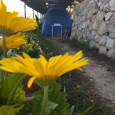 Kamp alanı Camping Tirana Kashari